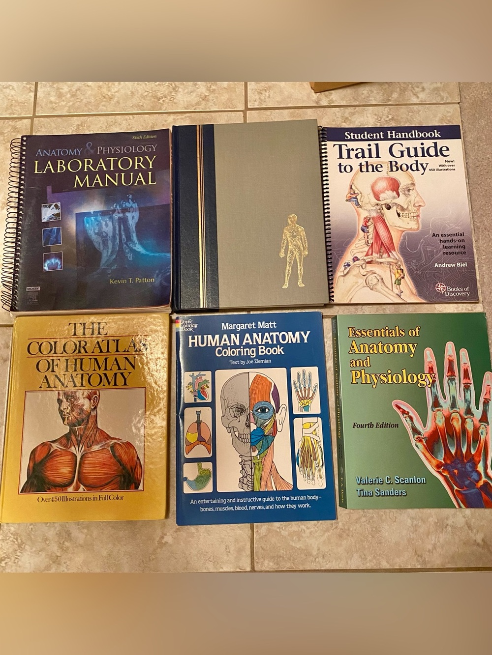 Lot 6 Anatomy Physiology Human Body Text Books High School Homeschool Curriculum